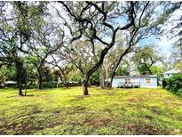 Charming home with light blue siding and a lush lawn, surrounded by mature trees and a welcoming deck at 1821 Weekend Ln, Odessa, FL 33556
