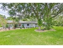 This home has lush green lawn and trees, and a view of the exterior showcasing its windows at 820 Crenshaw Lake Rd, Lutz, FL 33548
