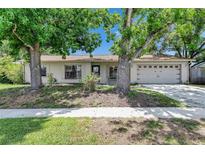 Charming single-story home with a well-maintained lawn and mature trees, offering great curb appeal at 15820 Sapwood St, Tampa, FL 33624