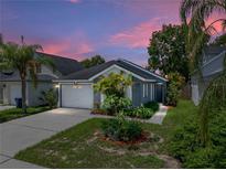 Charming single-Gathering home with a well-manicured lawn, mature palm trees, and a two-car garage at 22829 Saint Thomas Cir, Lutz, FL 33549