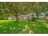 Charming single-story home with well-manicured lawn and mature trees providing ample shade at 2308 Cape Bend Ave, Tampa, FL 33613