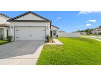 Charming single-Gathering home with a well-manicured lawn, attached garage, and inviting curb appeal at 29245 Fedora Cir, Brooksville, FL 34602