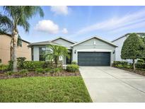 Charming single-story home featuring lush landscaping and a well-maintained lawn and a two car garage at 3025 Winglewood Cir, Lutz, FL 33558