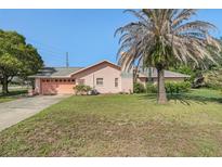 Charming single-story home with a well-maintained lawn and a large palm tree in the front yard at 4355 Odin St, Spring Hill, FL 34608