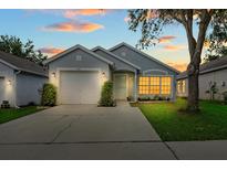 Charming single-story home featuring a two-car garage, a well-maintained lawn, and pleasant curb appeal at 547 Summer Sails Dr, Valrico, FL 33594