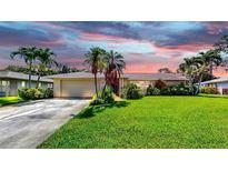Charming single-story home with a lush green lawn, mature palm trees, and a two-car garage at 8671 11Th N St, St Petersburg, FL 33702
