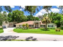 Charming single-story home with well-manicured lawn, palm trees, and a spacious driveway at 11945 Darwin Ave, New Port Richey, FL 34654