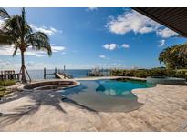 Backyard infinity pool and spa with direct access to the ocean and private dock at 3319 Bayshore Ne Blvd, St Petersburg, FL 33703
