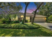 Charming single-story home with a well-manicured lawn and mature trees creating a serene setting at 5804 Terncrest Dr, Lithia, FL 33547