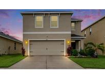 Charming two-story home with a well-maintained lawn and inviting curb appeal at 11019 Leland Groves Dr, Riverview, FL 33579