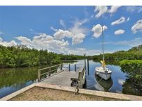 Picturesque waterfront view showcasing a private wooden dock and a small sailboat with lush greenery surrounding the calm waters at 2900 45Th S St # 26, Gulfport, FL 33711
