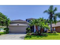 Charming single-story home featuring mature landscaping and a well-manicured lawn at 14427 Pepperpine Dr, Tampa, FL 33626