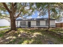Charming home featuring stucco siding, gray trim, gray front door, mature trees, and a well-manicured lawn at 22716 Penny Loop, Land O Lakes, FL 34639