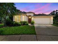 Inviting single-story home featuring a two-car garage and well-maintained landscaping under a colorful dusk sky at 2544 Rosehaven Dr, Wesley Chapel, FL 33544