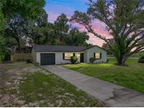 Charming home featuring a well-maintained lawn, a painted brick exterior, attached garage, and mature trees at 34819 Hibiscus Dr, Dade City, FL 33523