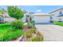 Charming single-Gathering home featuring a well-maintained lawn, colorful landscaping, and an attached two-car garage at 4008 Moreland Dr, Valrico, FL 33596