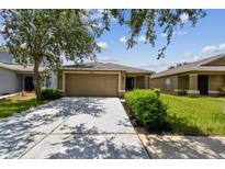 Inviting single-story home with a well-maintained lawn and a two-car garage at 8020 Carriage Pointe Dr, Gibsonton, FL 33534