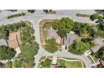 Aerial view of a single-Gathering home with mature trees and a well-maintained yard, outlined in red at 14619 Daybreak Dr, Lutz, FL 33559