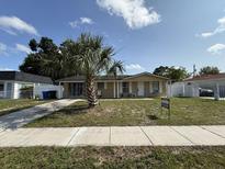 Charming single-story home with a well-manicured lawn and a large palm tree in the front yard at 7206 Reindeer Rd, Tampa, FL 33619