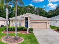 Charming single-story home featuring a well-manicured lawn and a two-car garage with a beautifully landscaped front yard at 12200 Hunters Lake Dr, New Port Richey, FL 34654