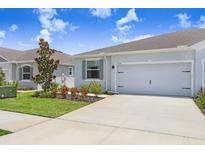 Charming home exterior features a well-manicured lawn, beautiful landscaping, and an attached two-car garage at 31426 Ancient Sage Rd, Wesley Chapel, FL 33545
