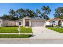 Charming single-story home featuring a well-manicured lawn, a two-car garage and a welcoming front entrance at 30260 Birdhouse Dr, Wesley Chapel, FL 33545