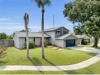 Charming home featuring a well-manicured lawn and mature palm trees, creating a welcoming curb appeal at 3721 Casaba Loop, Valrico, FL 33596