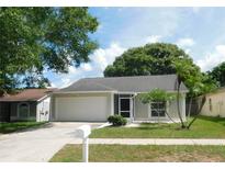 Charming single-story home with a two-car garage, screened entrance, and well-maintained lawn at 2114 Intervista Ln, Valrico, FL 33594