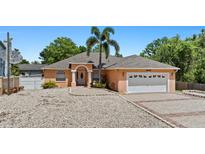 Charming single-story home featuring a spacious driveway and a well-manicured lawn at 8105 N Grady Ave, Tampa, FL 33614