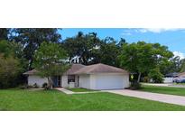 Charming single-story home featuring a well-maintained lawn and an attached two-car garage at 401 Fern Cliff Ave, Temple Terrace, FL 33617