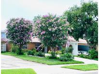 Charming single story home with a well manicured lawn, driveway and covered carport at 402 Evergreen Dr, Oldsmar, FL 34677