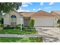 Charming single-story home with a well-manicured lawn and a two-car garage at 1741 Elk Spring Dr, Brandon, FL 33511