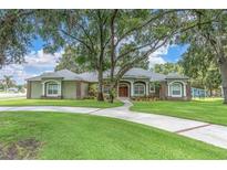 Beautiful single-story home featuring mature trees, a curved driveway, and a well-manicured lawn at 11008 Nest Ct, Odessa, FL 33556