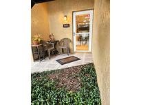 Inviting front porch with outdoor seating, decorative lighting, and a secure, glass-paneled front door at 3810 N Oak Dr # N31, Tampa, FL 33611