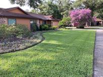 Charming single-story home featuring a well-maintained lawn, mature trees, and colorful landscaping at 6709 Peachtree Dr, Temple Terrace, FL 33617
