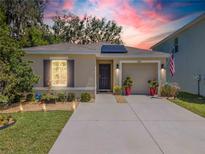 Charming single-story home featuring a well-maintained lawn, covered entryway, and attached garage in a desirable neighborhood at 9016 Water Chestnut Dr, Temple Terrace, FL 33637