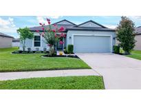 Charming single-Gathering home with a well-manicured lawn, beautiful landscaping, and a two-car garage at 12138 Criollo Rd, Spring Hill, FL 34610