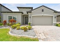 Charming single-story home featuring a well-manicured front yard and a two-car garage at 9316 Crescent Ray Dr, Wesley Chapel, FL 33545