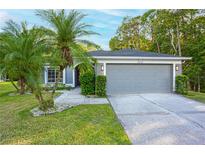 Charming single-story home with a well-manicured lawn and inviting two-car garage at 13203 Royal George Ave, Odessa, FL 33556