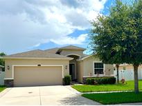 Charming single-Gathering home with a two-car garage, well-manicured lawn, and beautiful landscaping at 10621 Scenic Hollow Dr, Riverview, FL 33578