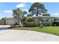 Charming home boasts a well-maintained front yard with lush landscaping and a mature palm tree at 3901 17Th N Ave, St Petersburg, FL 33713