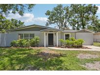 Charming single-story home with fresh exterior paint, manicured landscaping, and inviting entrance at 4434 Perch St, Tampa, FL 33617