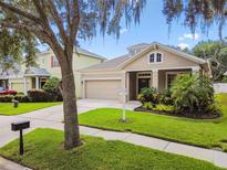 Charming single-Gathering home featuring a well-maintained lawn and a two-car garage at 13310 Tiger Lilly Ln, Tampa, FL 33625