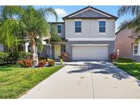 Charming two-story home with well-maintained landscaping, including palm trees and colorful flowers at 13324 Willow Bluestar Loop, Riverview, FL 33579