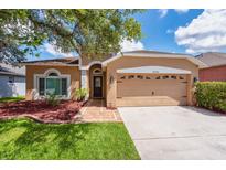Charming one-story home with a well-manicured lawn, red mulch flowerbeds, and a two-car garage at 27652 Sky Lake Cir, Wesley Chapel, FL 33544