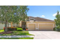 Charming single-Gathering home featuring a well-manicured lawn, colorful landscaping, and a two-car garage at 3409 61St E Ter, Ellenton, FL 34222