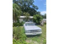 Exterior front view of a property with some yard in front with a car parked in the yard at 7605 Alvina St, Tampa, FL 33625