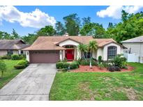 Charming single-story home features a beautiful red front door and a well-manicured lawn at 10732 Drummond Rd, Tampa, FL 33615