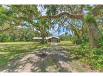 Charming single-story home with a metal roof, nestled under mature oak trees and a large front yard at 2610 Crestview Rd, Wimauma, FL 33598