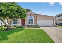 Charming home featuring a well-manicured lawn, mature tree, and an attached two-car garage at 11550 Wellman Dr, Riverview, FL 33578
